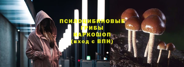 трава Абаза