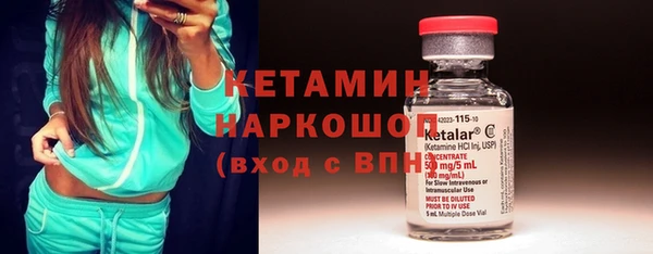 apvp Дмитриев