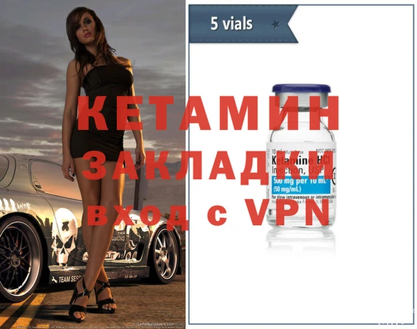 гашик Дмитров