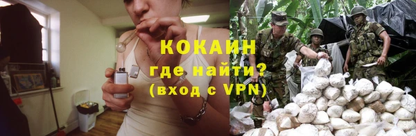 трава Абаза